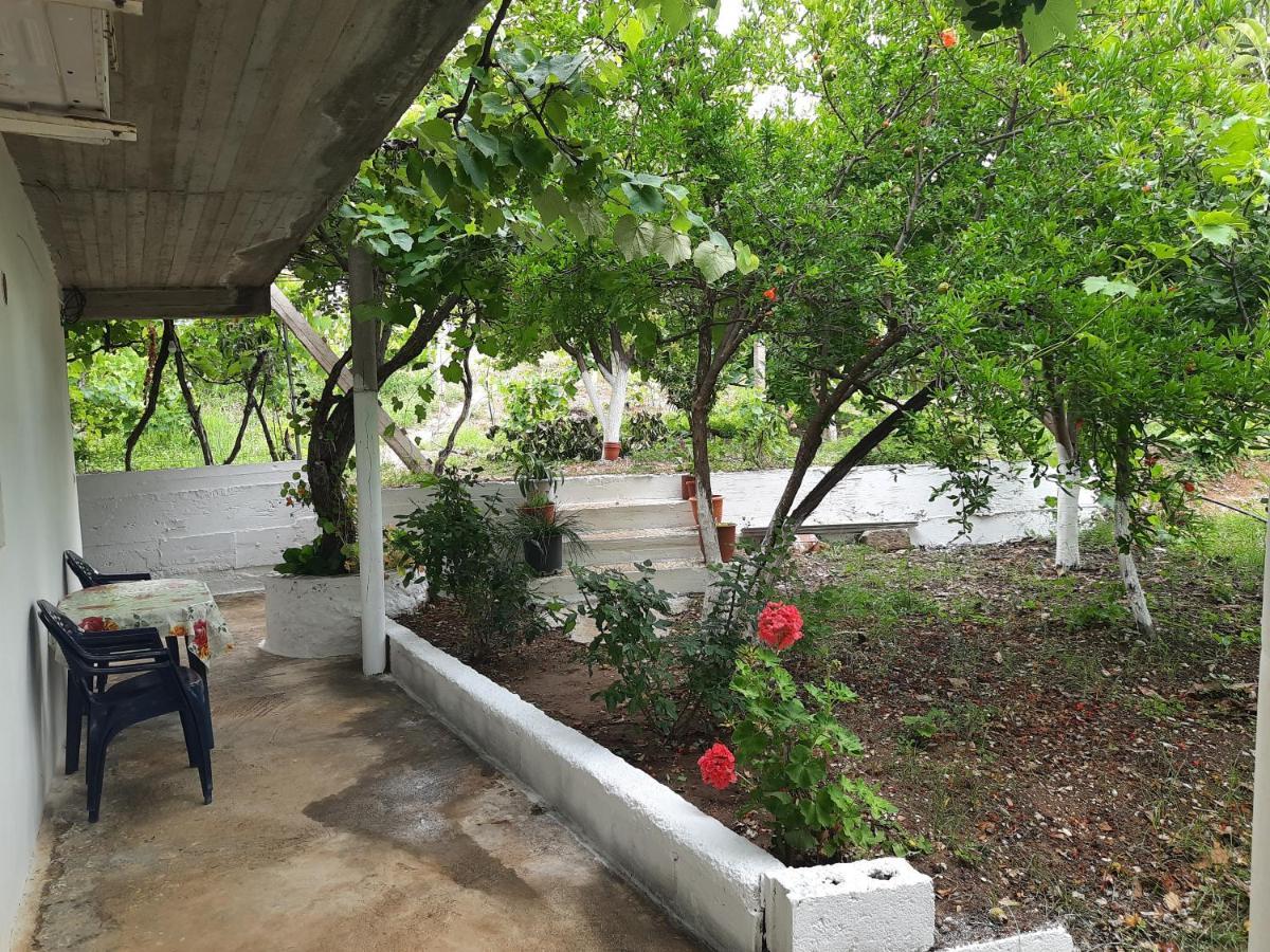 Hillside Apartments Borsh Luaran gambar