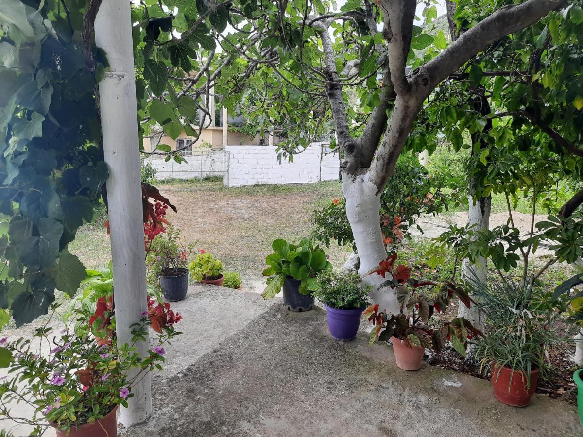 Hillside Apartments Borsh Luaran gambar