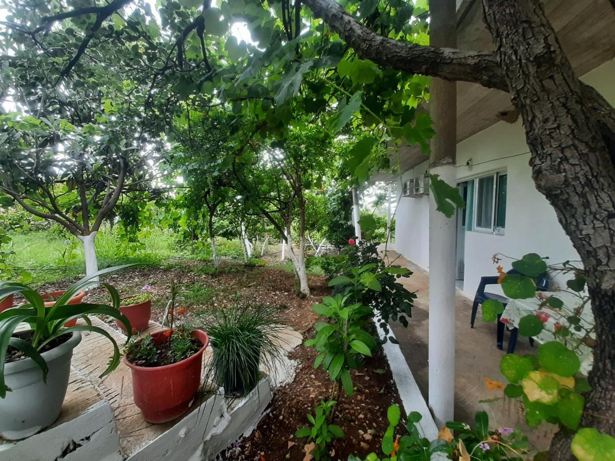 Hillside Apartments Borsh Luaran gambar