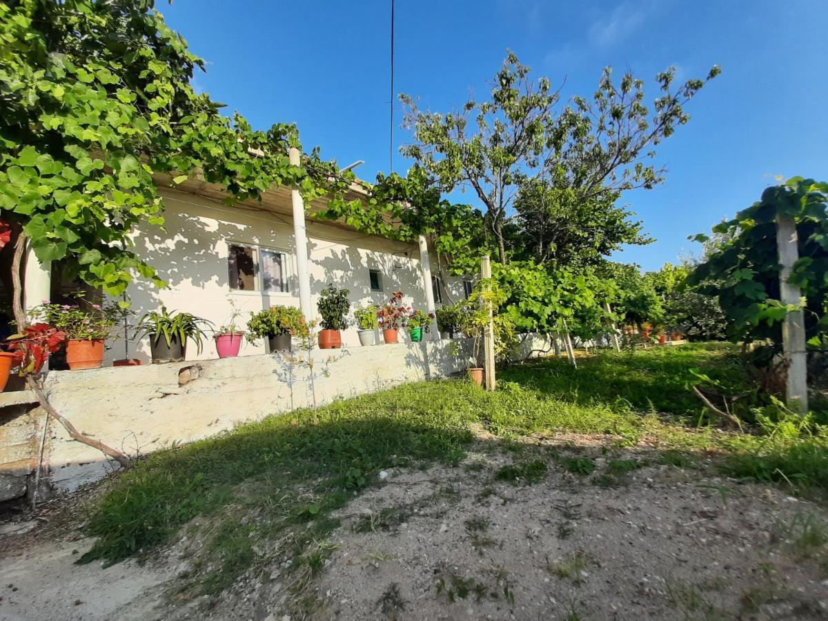 Hillside Apartments Borsh Luaran gambar